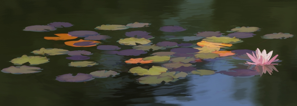 DPI12290212LARGE Water Lilies Nymphaeaceae On A Pond - Alberta Canada Poster Print by Ron Harris, 36 x 14 - Large
