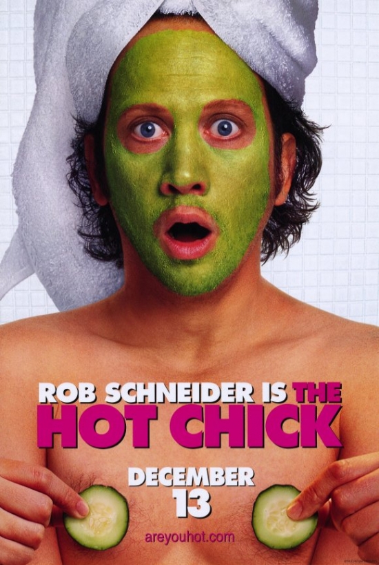 MOVEF3400 The Hot Chick Movie Poster - 27 x 40 in.