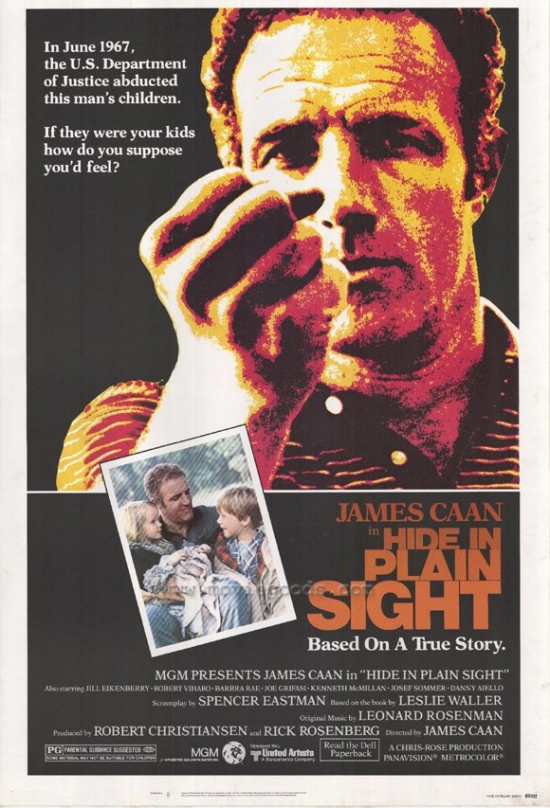 Hide in Plain Sight Movie Poster - 27 x 40 in.