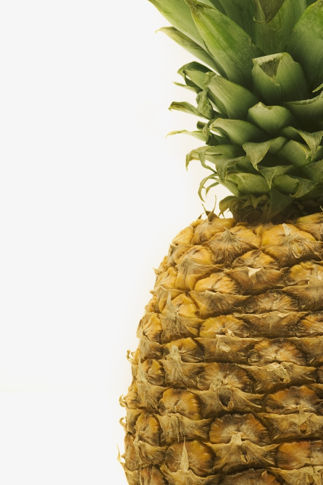 Pineapple Poster Print by Darren Greenwood, 12 x 18