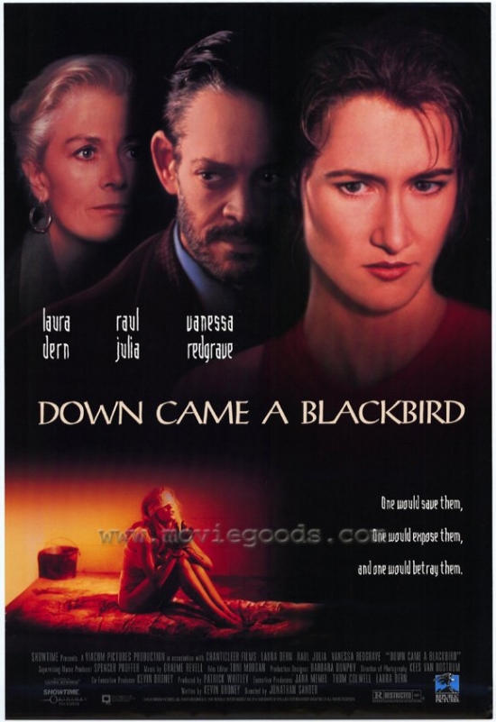 Down Came a Blackbird Movie Poster - 27 x 40 in.
