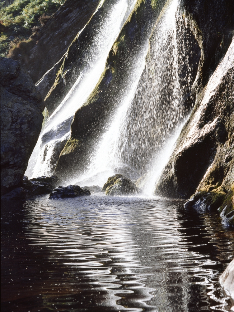 Powerscourt Waterfall Powerscourt Estate Co Wicklow Ireland - Irelands Highest Waterfall Poster Print by The Irish Image Collection, 26 x 34 - Large
