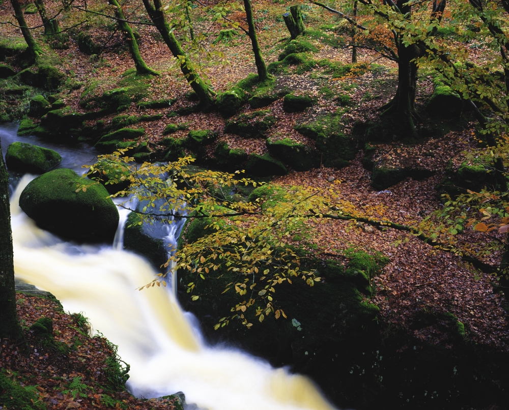 Glenmacnass Waterfall Co Wicklow Ireland Poster Print by The Irish Image Collection - 17 x 13