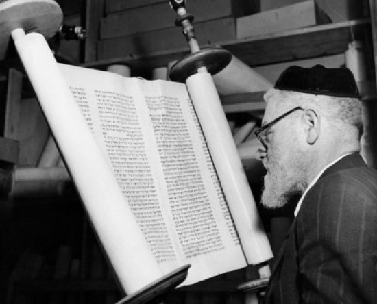 Torah Scribe Reading the Torah Poster Print - 18 x 24 in.