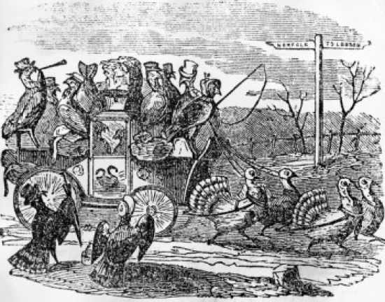 Fancy Turkey Coach From Peters Parleys Picture Book by Samuel Goodrich 1834 Poster Print - 18 x 24 in.