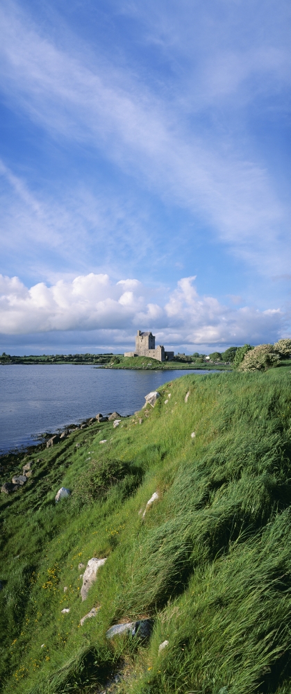 DPI1798850LARGE Castle On The Waterfront Dunguaire Castle Kinvara Republic of Ireland Poster Print by The Irish Image Collection, 19 x 44 - Large