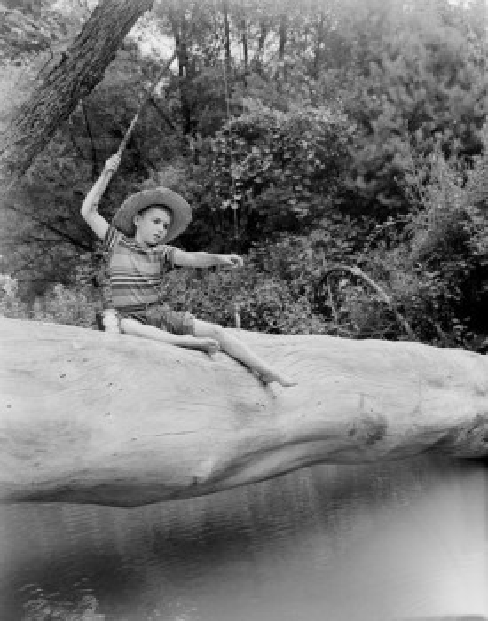 Boy Sitting on Tree Trunk & Fishing Poster Print - 18 x 24 in.