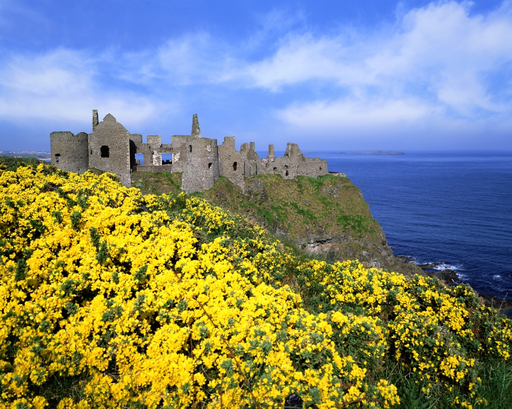 Dunluce Castle Co Antrim Ireland Poster Print - 16 x 12