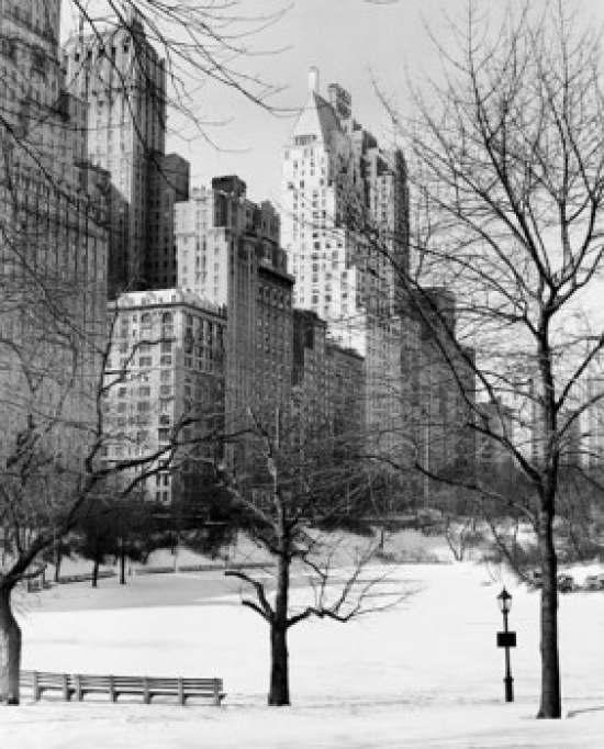 Bare Trees in a Snow Covered Park Central Park Manhattan New York City New York USA Poster Print - 18 x 24 in.