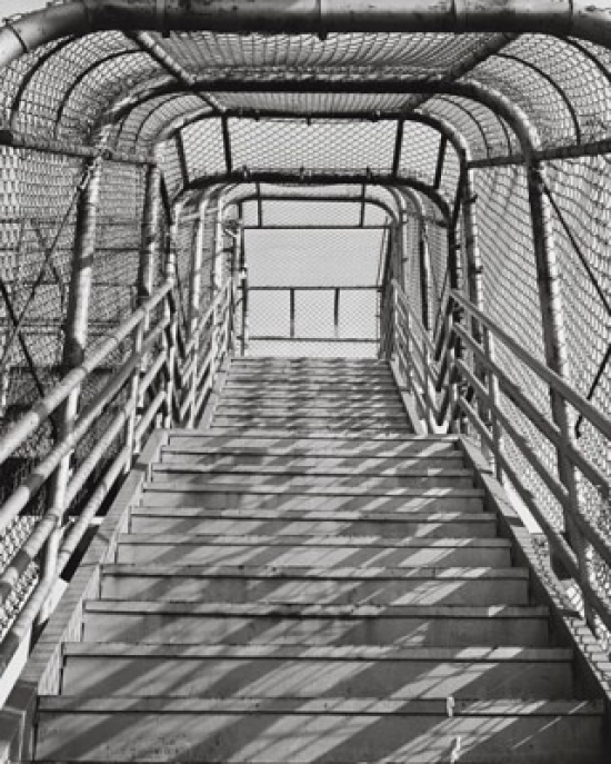 Staircase Covered with a Metal Frame Poster Print - 18 x 24 in.