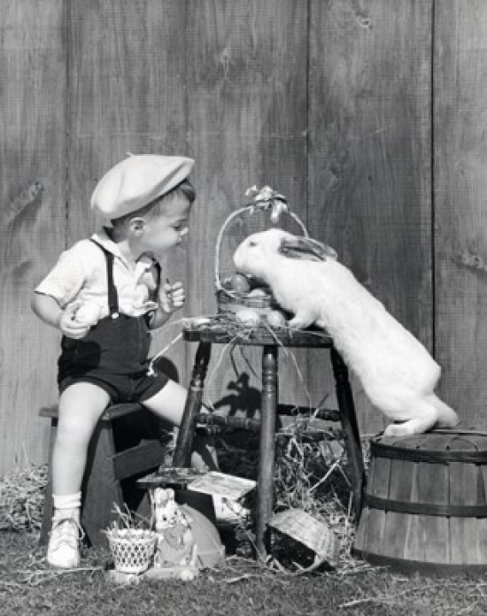 Boy Looking at Rabbit Reaching for Easter Eggs Poster Print - 18 x 24 in.