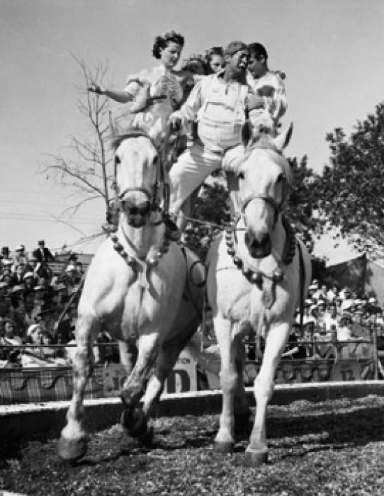 Acrobats Performing in a Circus Poster Print - 18 x 24 in.