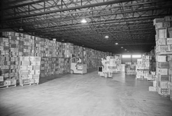 Two Workers Operating Forklifts in a Warehouse Poster Print - 18 x 24 in.