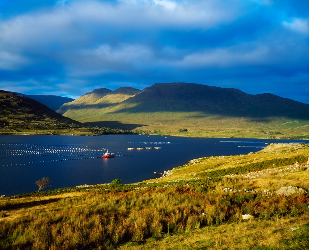 Killary Harbour Co Galway Ireland - Fish Farm Mussels Poster Print by The Irish Image Collection, 17 x 13