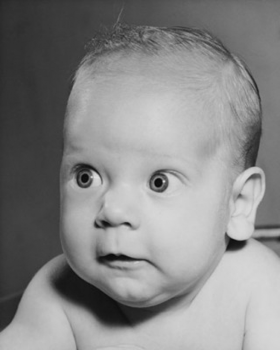 Baby Looking Curious Poster Print - 18 x 24 in.