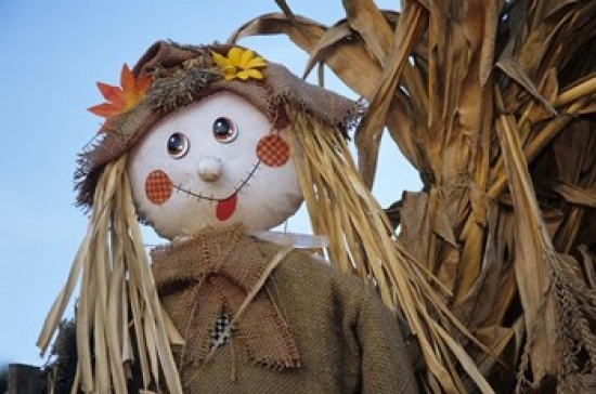 Scarecrow & Dead Corn Husks Carnation Washington Poster Print by John & Lisa Merrill - 35 x 24 in.