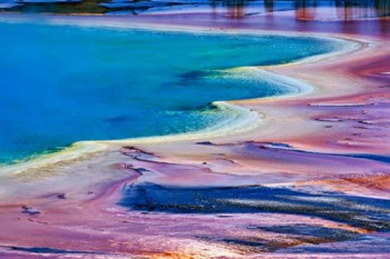 PDDUS51AJE0011 Pattern in Bacterial Mat Midway Geyser Basin Yellowstone National Park Wyoming Poster Print by Adam Jones