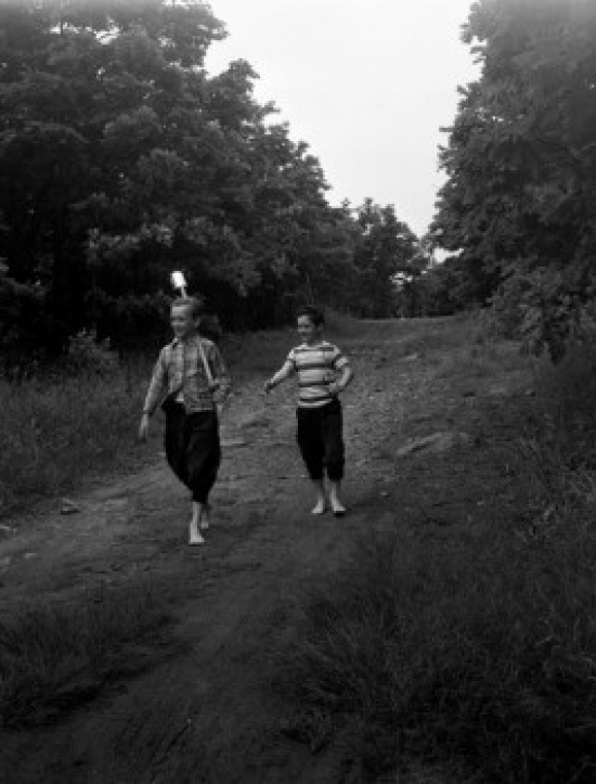 Two Boys Walking in Forest Poster Print - 18 x 24 in.
