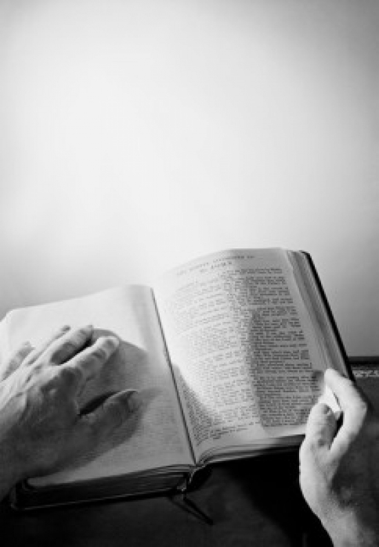 Mans Hands on Bible Poster Print - 18 x 24 in.