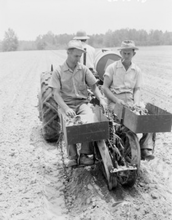 Farmers on Tractor Poster Print - 18 x 24 in.