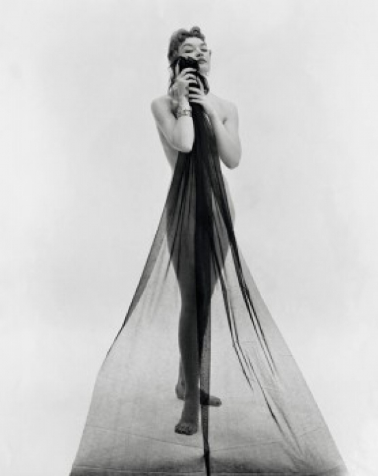 SAL25542169 Portrait of a Young Woman Holding a Transparent Cloth in Front of Her Poster Print - 18 x 24 in.