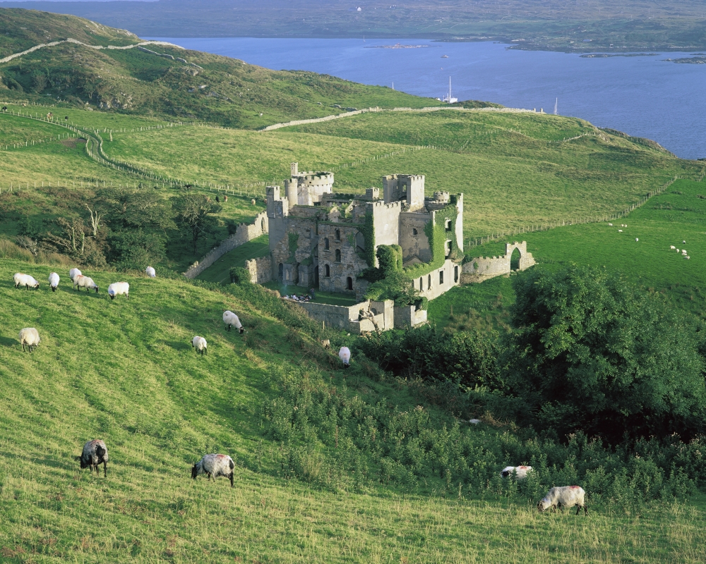Clifden Castle Co Galway Ireland - 19th Century Gothic Revival Style Castle Poster Print by The Irish Image Collection - 17 x 13