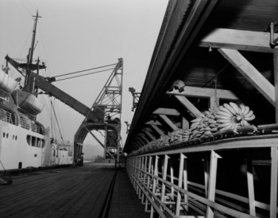 USA Washington Seattle Banana Ship Unloading Poster Print - 18 x 24 in.