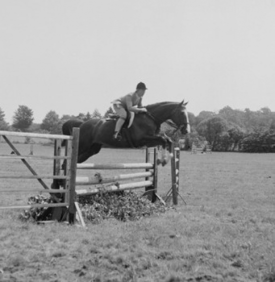 Jockey Riding Horse Through Obstacle Course Poster Print - 18 x 24 in.