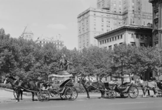 USA New York State New York City Plaza Hotel at Fifth Avenue & Central Park South Poster Print 18 x 24 in.