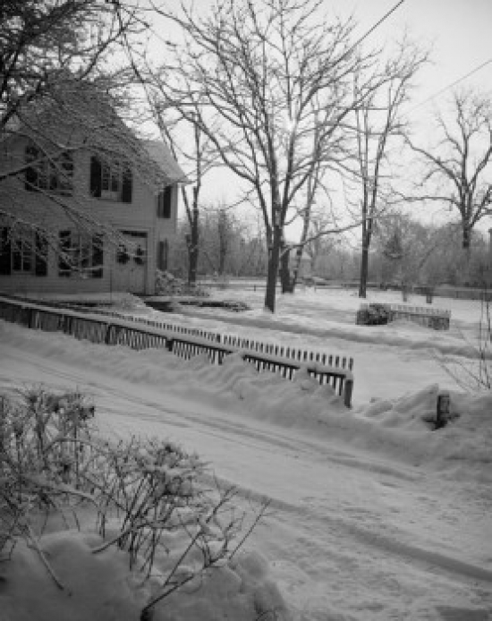 Backyard in Winter Poster Print - 18 x 24 in.