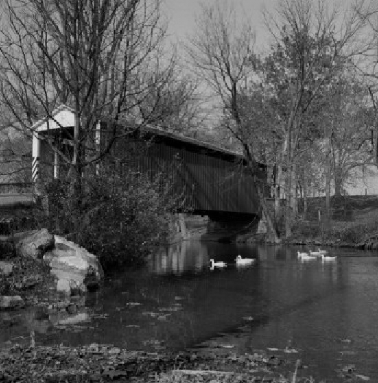 Covered Bridge & Ducks in Water Poster Print - 18 x 24 in.
