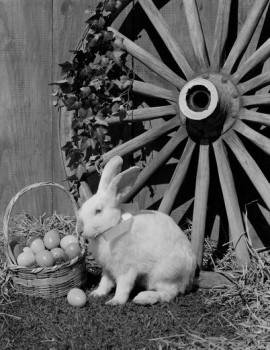 White Rabbit & Easter Eggs in Basket Poster Print - 18 x 24 in.