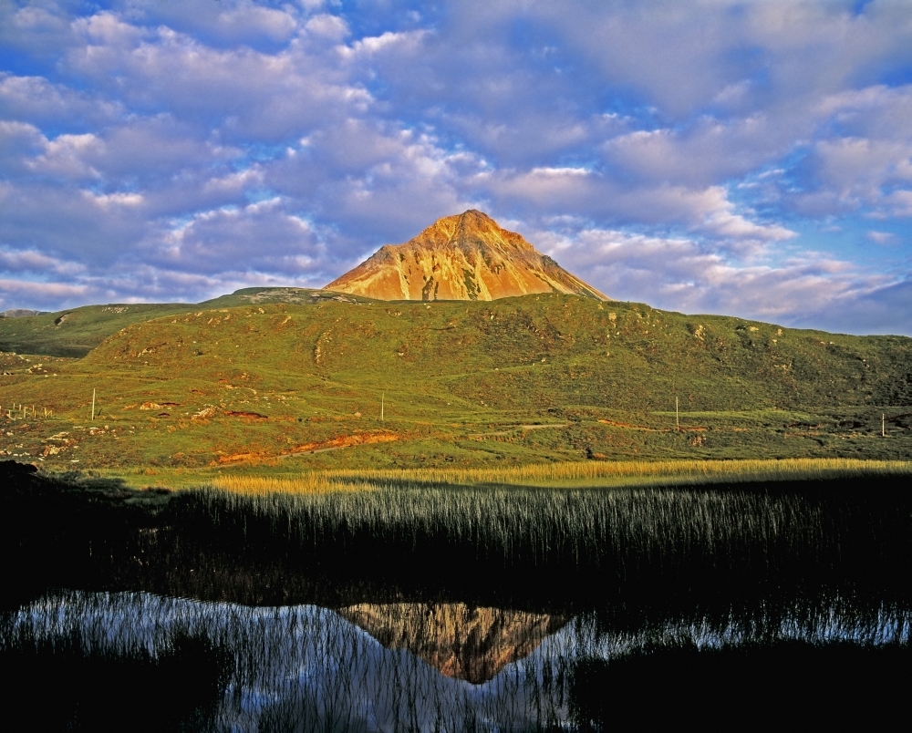 Mount Errigal Co Donegal Ireland Poster Print by The Irish Image Collection - 17 x 13