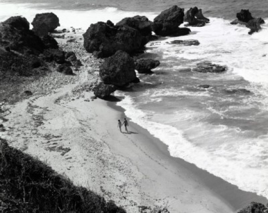Barbados Poster Print - 18 x 24 in.