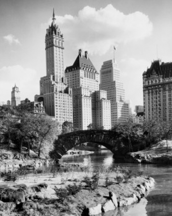 Low Angle View of Skyscrapers Central Park New York City New York USA Poster Print - 18 x 24 in.