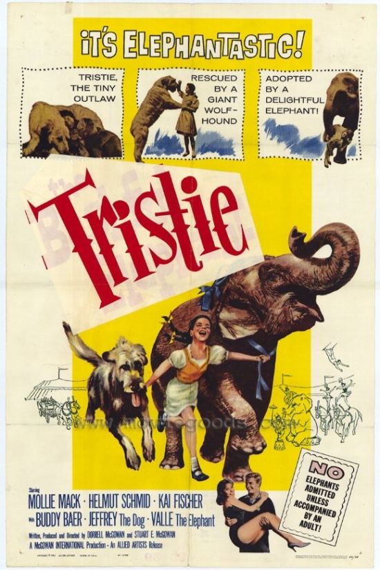 MOVIH8203 Bashful Elephant Movie Poster - 27 x 40 in.