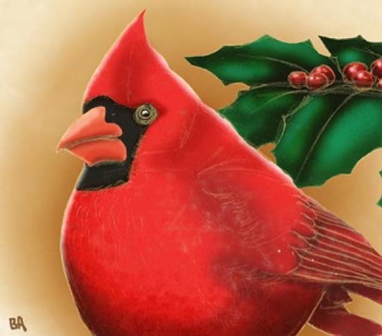 Cardinal Poster Print by Bill Abbott - 14 x 11 in.