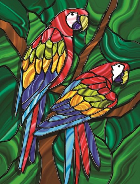 Parrot B Poster Print by Jeff Maraska - 18 x 24 in.