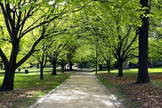 Pathway & Trees Kings Domain Melbourne Victoria Australia Poster Print by David Wall - 26 x 17 in.