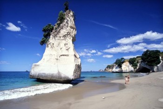 Cathedral Cove Coromandel Peninsula Poster Print by David Wall - 34 x 23 in.