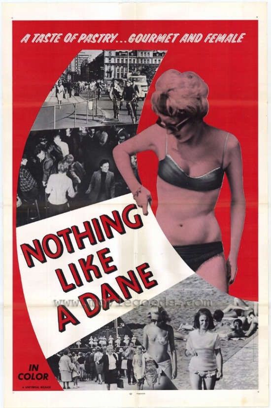 Nothing Like a Dane Movie Poster 27 x 40 in.
