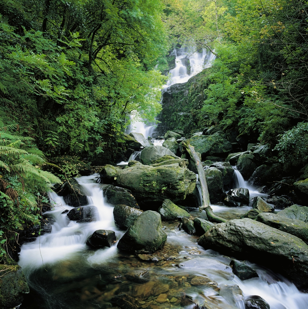 Torc Waterfall Killarney Co Kerry Ireland Poster Print by The Irish Image Collection, 24 x 24 - Large