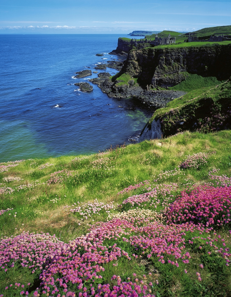 DPI1801852 Dunluce Castle Co Antrim Ireland Poster Print by The Irish Image Collection, 13 x 17