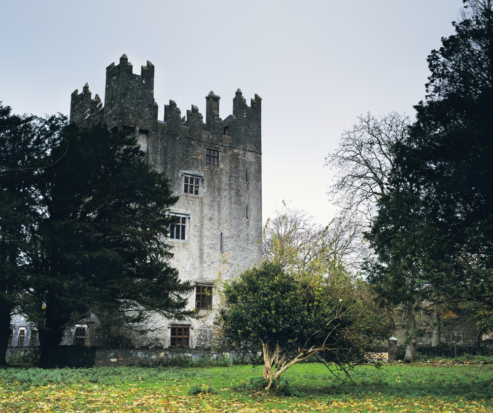 Castle Matrix Co Limerick Ireland Poster Print by The Irish Image Collection - 32 x 26 - Large
