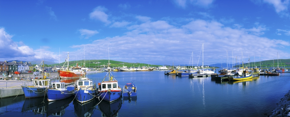Dingle Town & Harbour Co Kerry Ireland Poster Print by The Irish Image Collection - 30 x 12