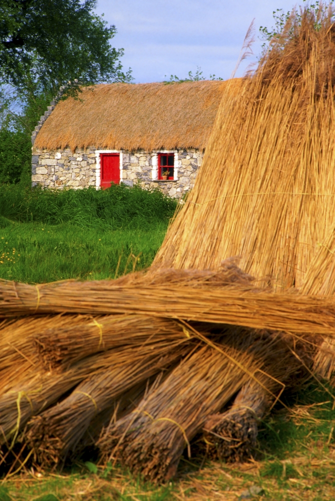 DPI1803403LARGE Traditional Thatching Ireland Poster Print by The Irish Image Collection, 24 x 36 - Large