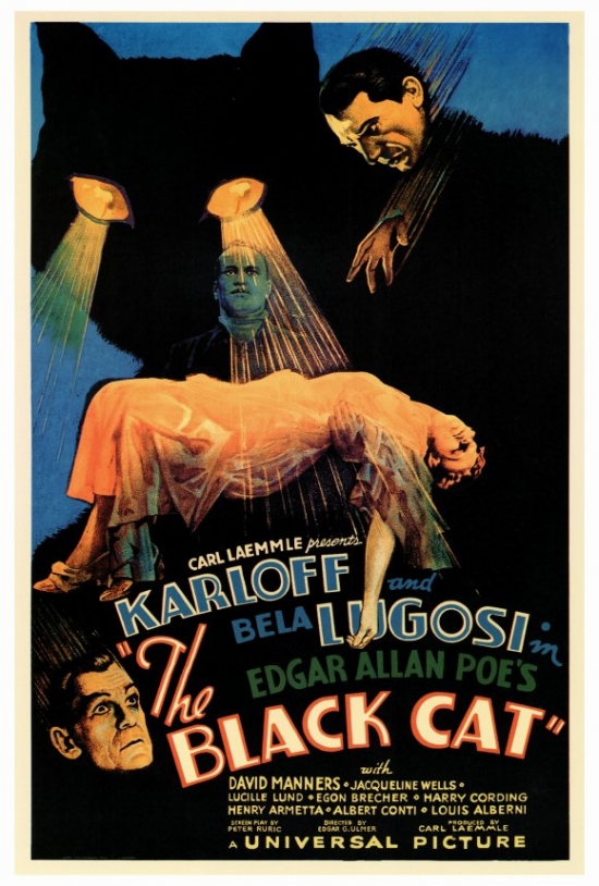 MOVIF9160 The Black Cat Movie Poster - 27 x 40 in.