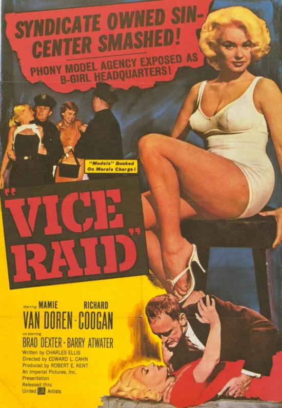 MOVIH4746 Vice Raid Movie Poster - 27 x 40 in.