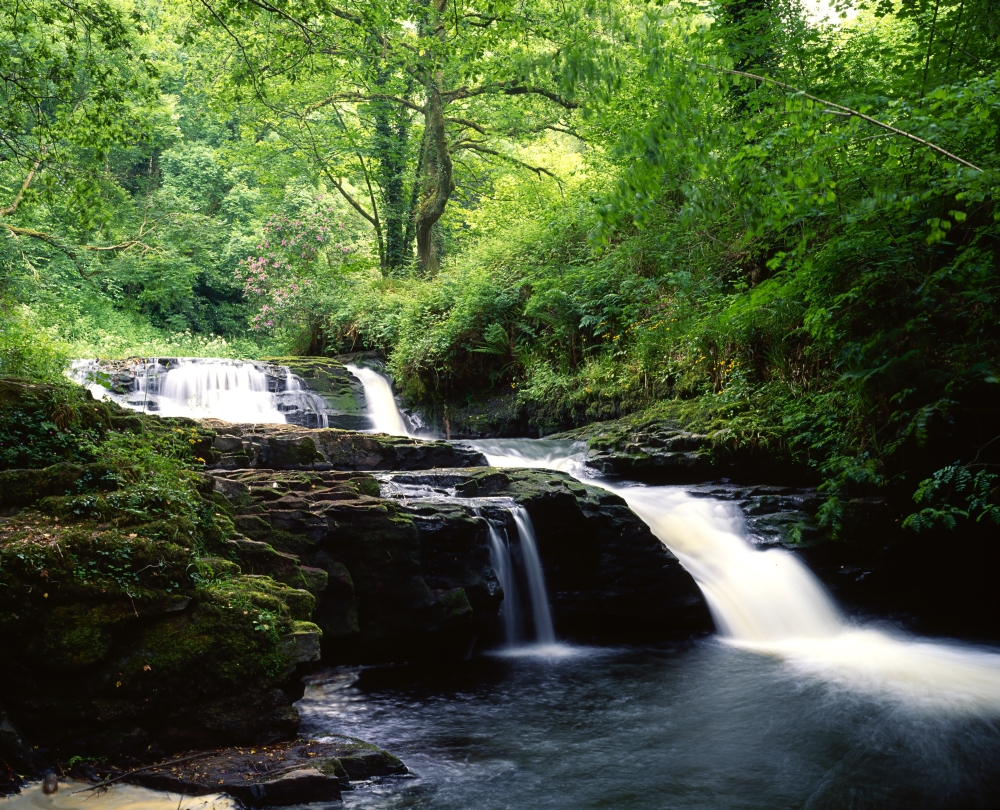 Clare Glens Co Limerick Ireland - Irish Landscape Poster Print by The Irish Image Collection - 17 x 13
