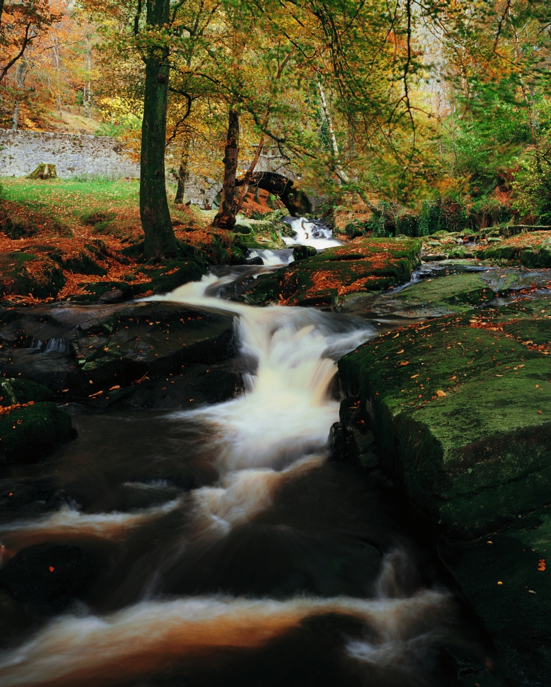DPI1801877 Co Wicklow Ireland - Waterfalll Near Sally Gap Poster Print by The Irish Image Collection, 13 x 17